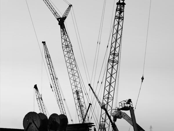 An array of different cranes against a clear, bright sky